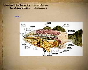 Monitoring the health status of aquatic populations