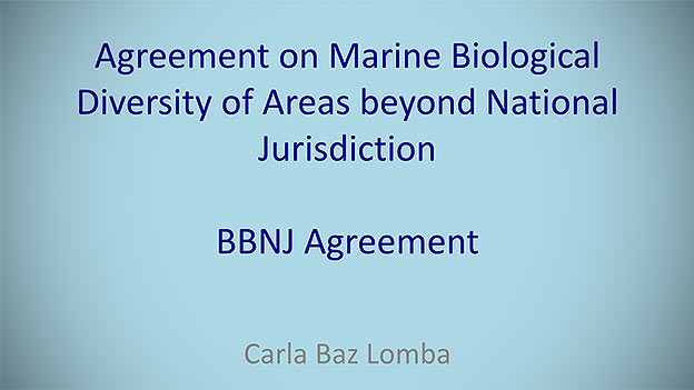 Agreement on Marine Biological Diversity of Areas beyond National Jurisdiction